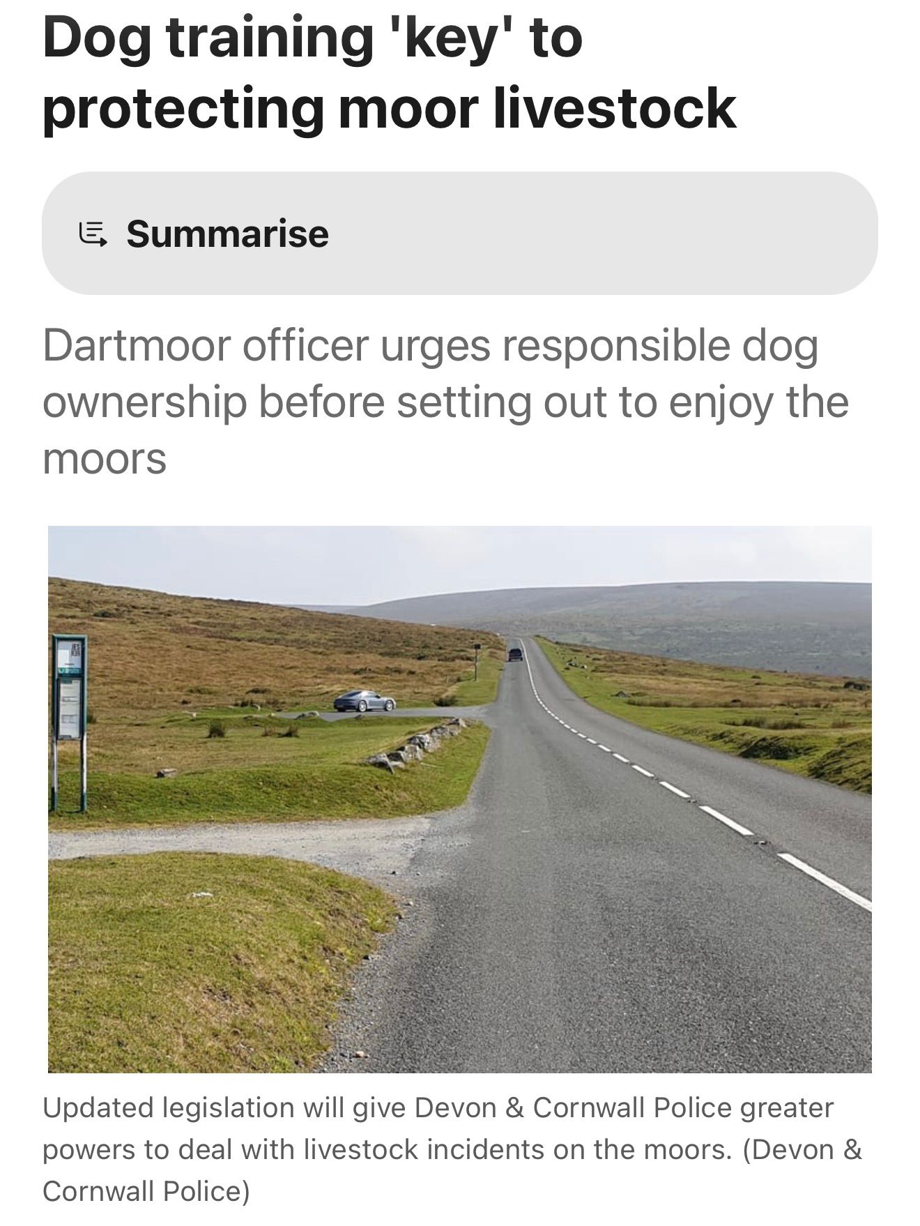 Dog training key to protecting moor livestock — Tavistock Today header